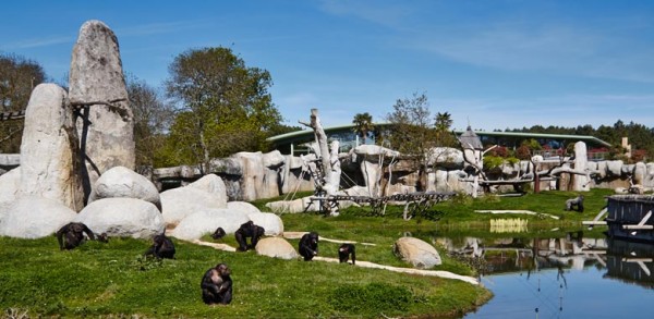 bando_grand_singe_mg_9652