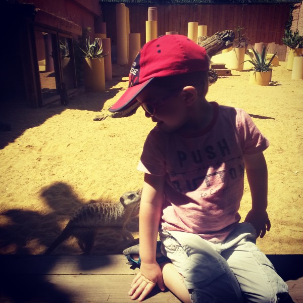 zoo de pessac