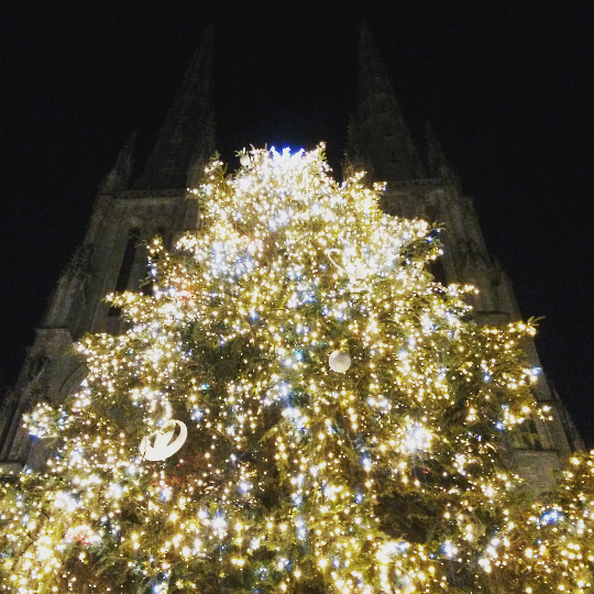 Screenshot_2016-01-03-09-57-39